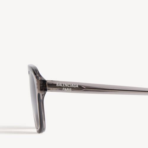 daily pilot sunglasses