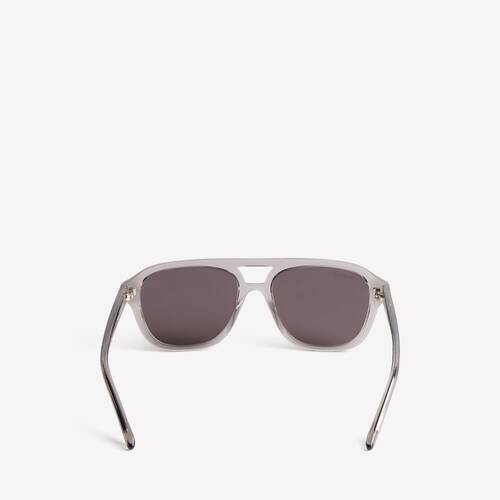 daily pilot sunglasses