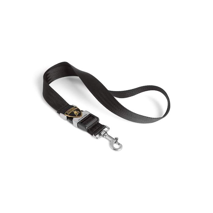 balenciaga | automobili lamborghini lanyard